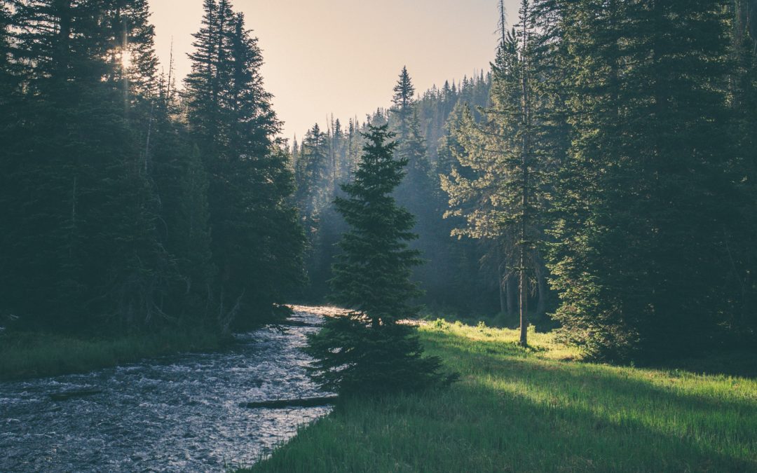Posi­tiver Stress? Warum nicht jede Anspan­nung schadet – und wie wir die Balance halten