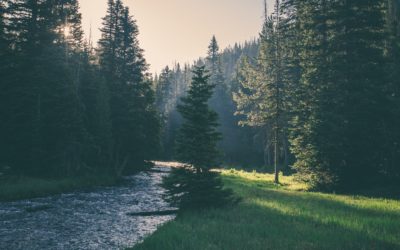 Posi­tiver Stress? Warum nicht jede Anspan­nung schadet – und wie wir die Balance halten